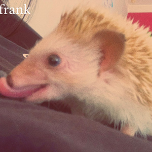 Frank