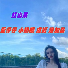 谁的心在午夜漂泊 (DJ版)