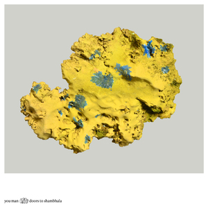 Doors To Shambhala (Surgeons Girl Remix)