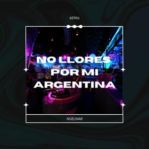No Llores Por Mi Argentina (Remix)