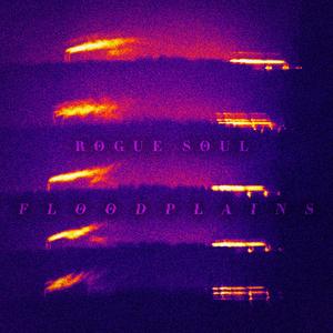 Floodplains