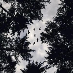 你还怕大雨吗（翻自 万能青年）