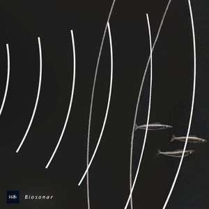Biosonar
