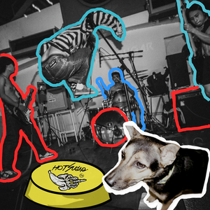 แมลงวัน