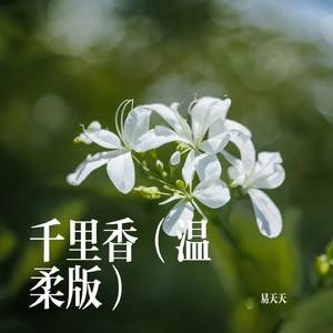 千里香（温柔版）