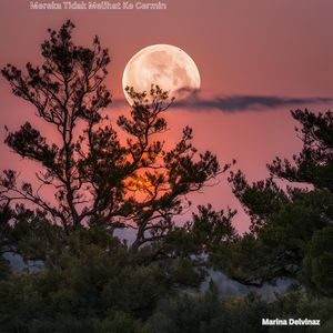 Mereka Tidak Melihat Ke Cermin