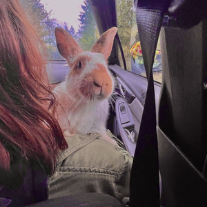 Like Every Other Girl