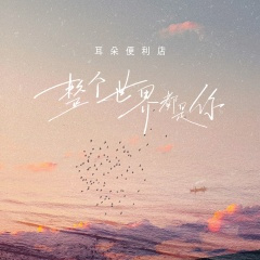 整个世界都是你 (DJ九零版)