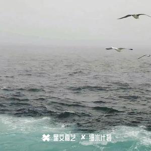 2024优美旋律Vo.41