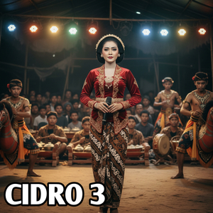 CiDRO 3