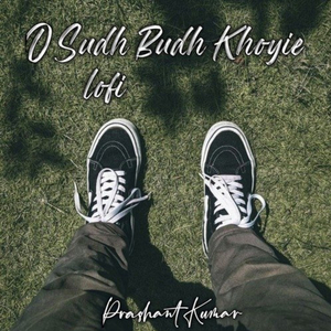 O Sudh Budh Khoyi Hai Lofi