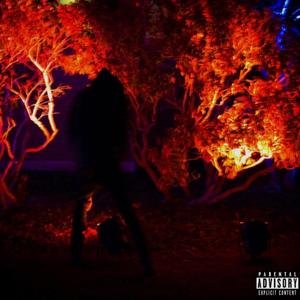 ROCK OUT (feat. Whydapinkstink)