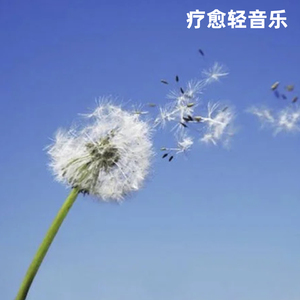 舒缓吉他旋律轻音乐・星夜静念