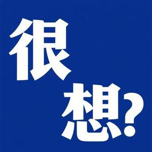 很想 (念南风 Remix)