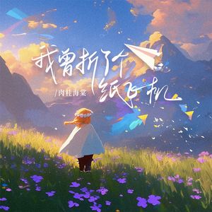 我曾折了个纸飞机