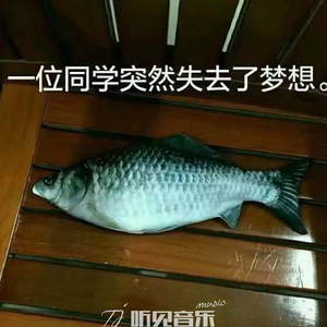 你的歌（正式版）