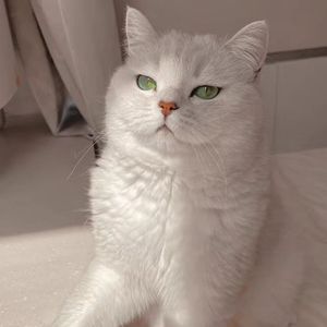 [FREE]"Lil Baby type" Beat DarkTrap 140bpm