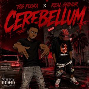 Cerebellum (feat. Real Grindr)