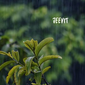Jeevit