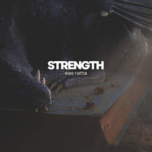 Strength