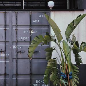 一起去看风和日丽（ukulele弹唱版）