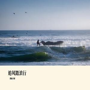 追风踏浪行