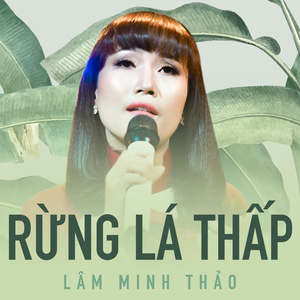 Rừng lá thấp