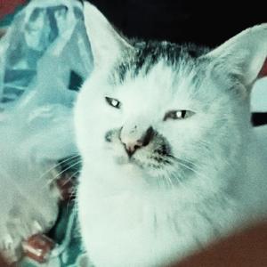 起舞于平原之上