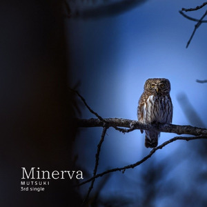 Minerva