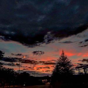 Cang㇏（Prod by张杰峻）