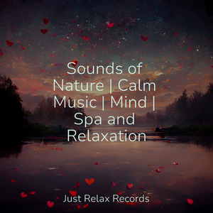 Echoes of Dune Shores