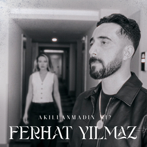Akıllanmadın mı?