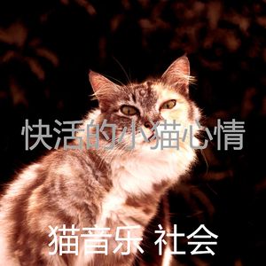 抚慰的猫回忆