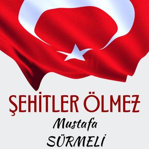 Şehitler Ölmez (Yarab Bizleride Kat Bu Kervana)
