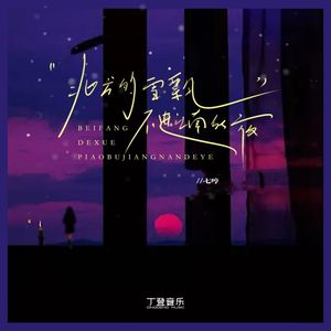 北方的雪飘不进江南的夜（DJ弹鼓版）