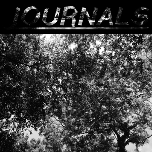 Journals