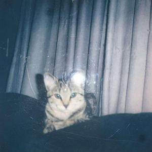 perc walkin' (feat. 7EVEN & Pierce Santana)