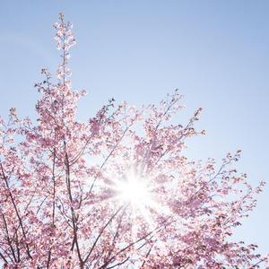 安静/学习音乐台-自然睡眠白噪音2