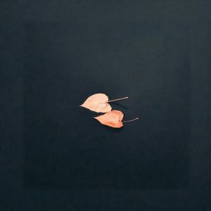 雨的印记（纯音乐）