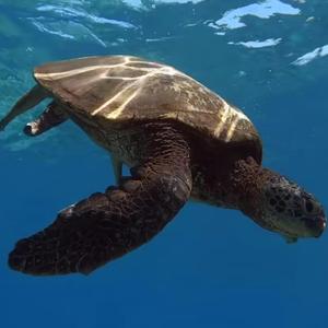 Straciłem wiarę w świat