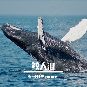 鲛人泪（prod.Diffuse弥蔓）