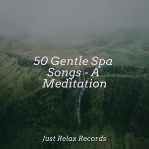 Slumber's Sweet Siren Call