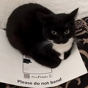 都市丽人生存报告