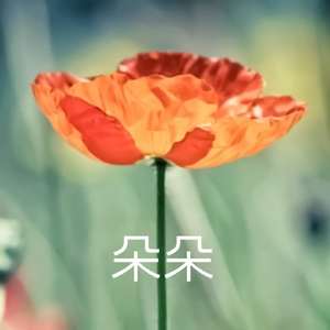 次第花开(长笛版)