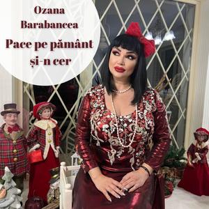 Pace pe pământ și-n cer