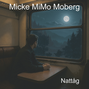 Nattåg