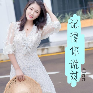 记得你说过 (伴奏)