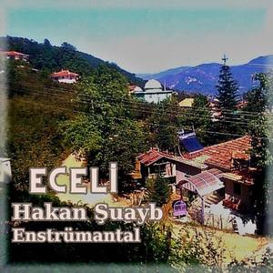 Ecelim - Enstrümantal