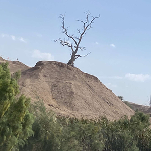 Marilyn (feat. Sinista)