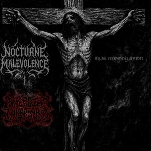 Nihilist (feat. Nocturne malevolence)